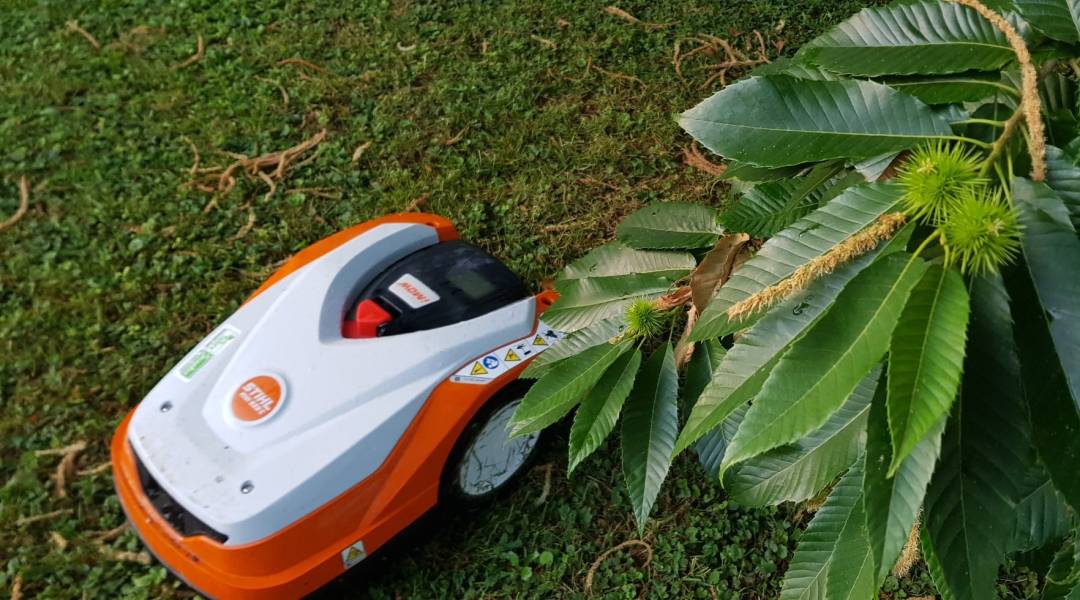 522C castagno Porlezza